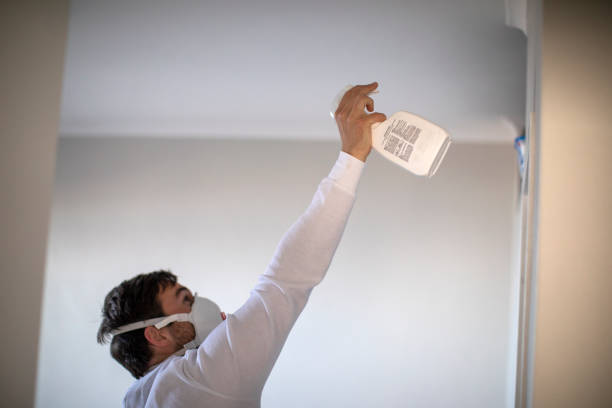 Best Home Mold Removal  in Moravian Falls, NC